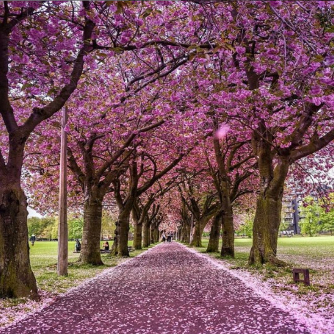 Most Romantic UK Breaks