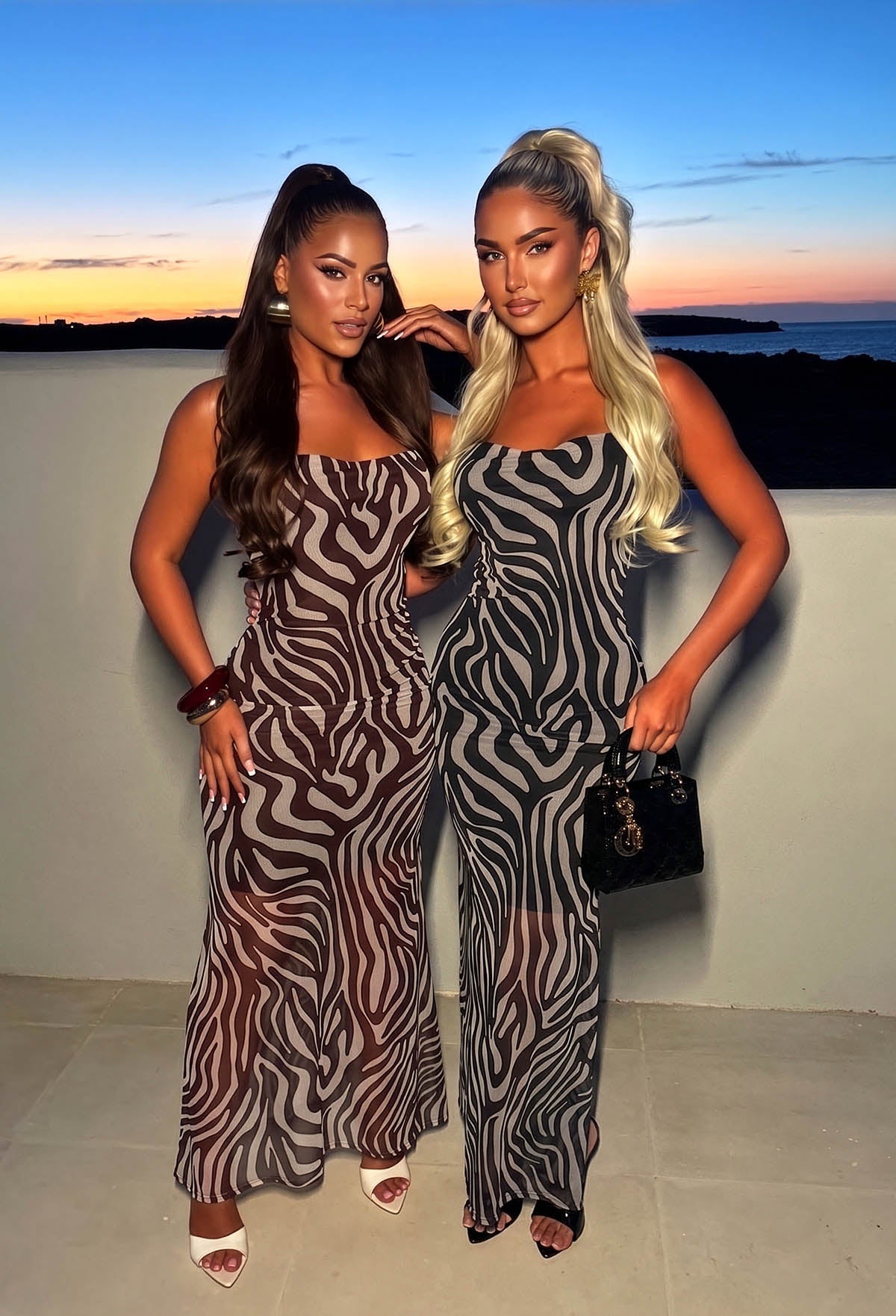 Wild Obsession Brown Zebra Print Cami Maxi Dress