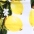 Sorrento Vibes Lemon Printed Button Front Mini Dress